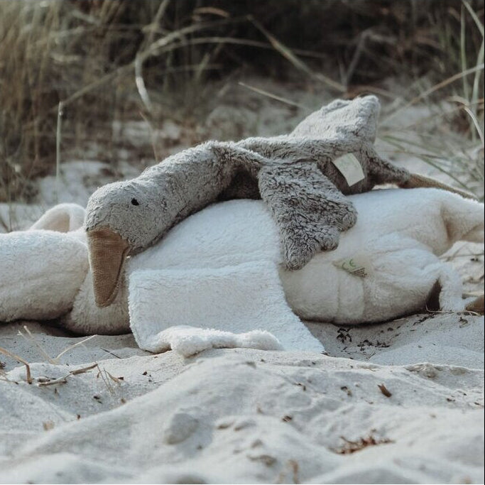 cuddly goose, grey