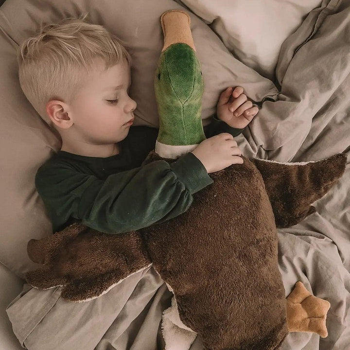 cuddly drake