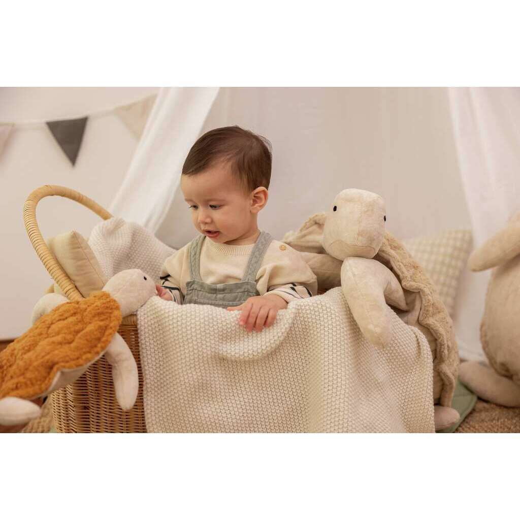 cuddly rust brown turtle with warming inlet