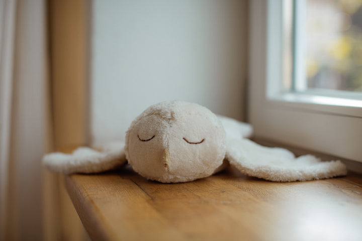 cuddly snowy owl with warming inlet