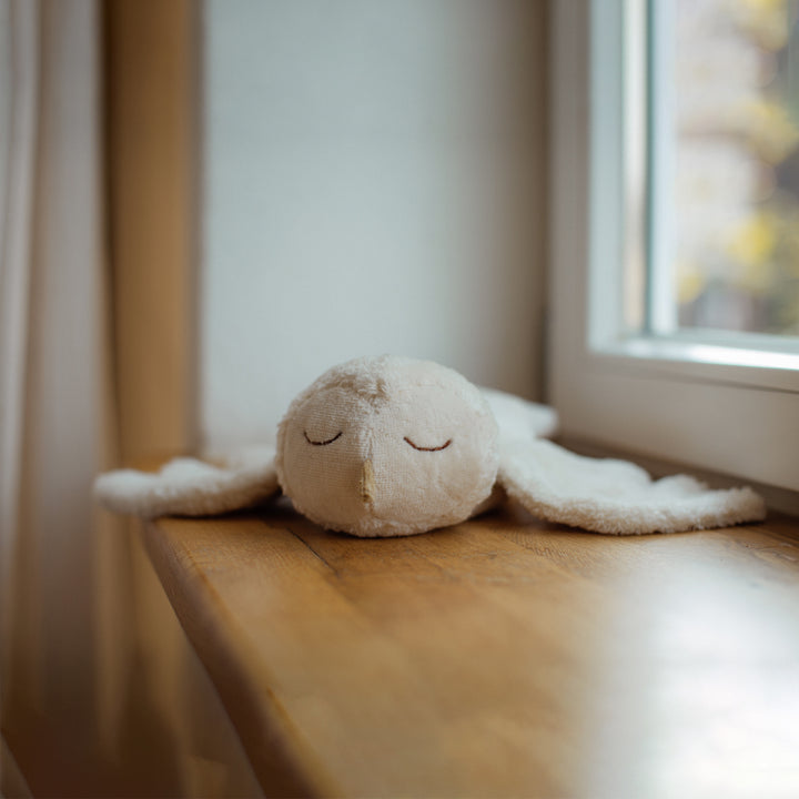 cuddly snowy owl with warming inlet