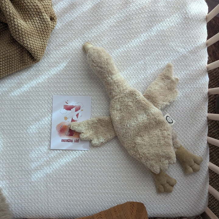 cuddly goose, linen