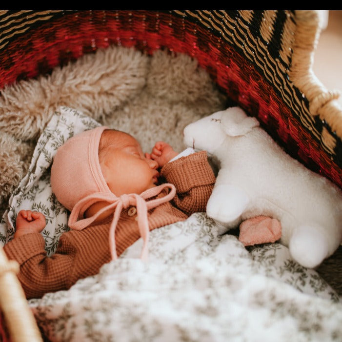 sleepy sheep music box