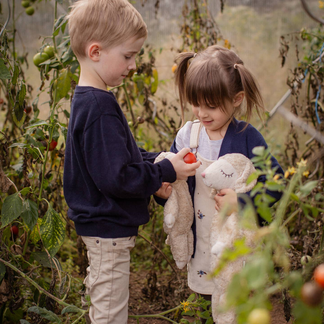 cuddly linen sheep with warming inlet