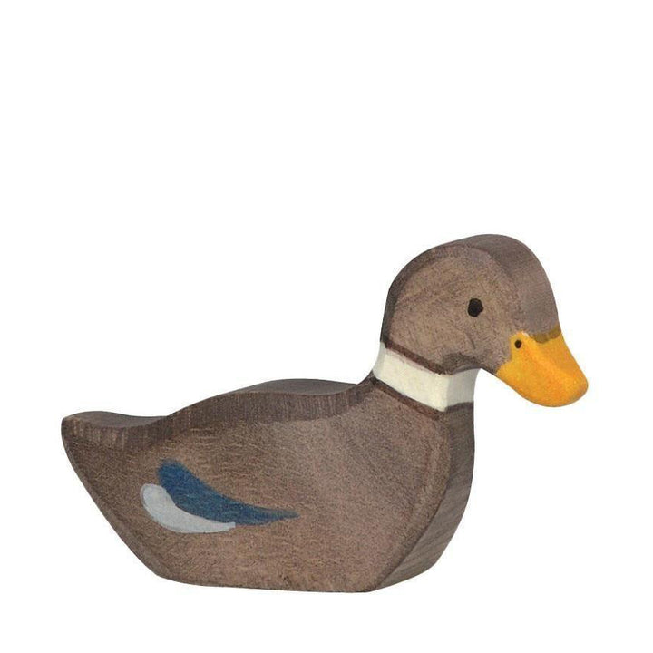 Holztiger duck swimming