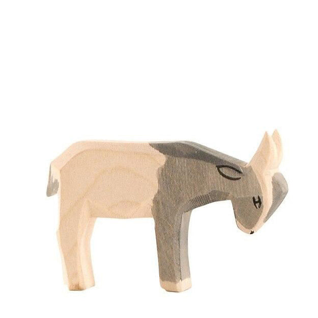 Ostheimer goat kid