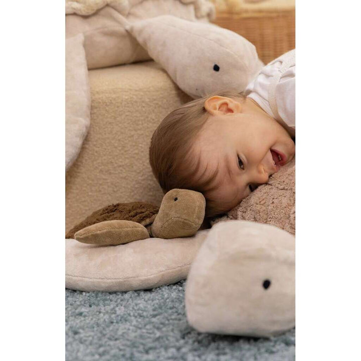 cuddly brown turtle with warming inlet