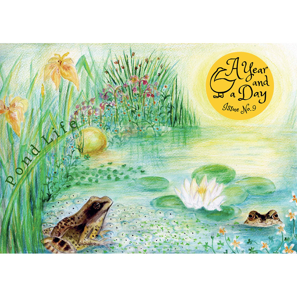 A Year and a Day, Issue 9: Pond Life
