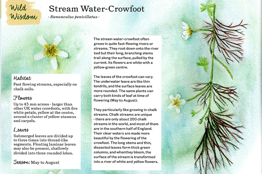 A Year and a Day, Issue 17: Rivers