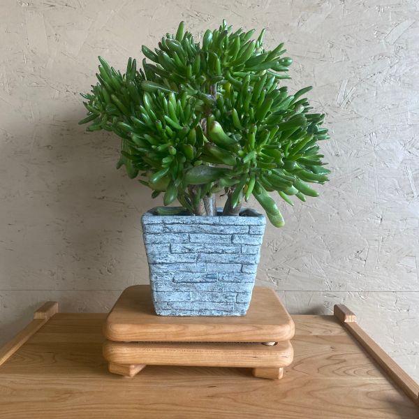 Camden Rose cherrywood flower press