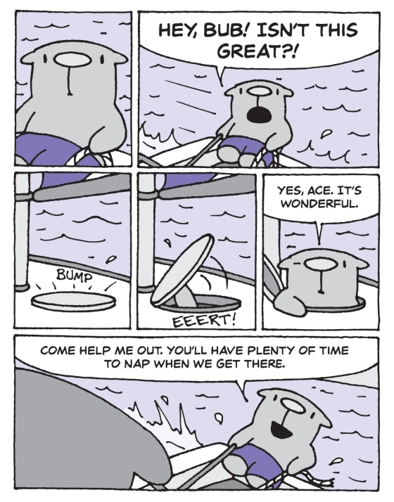 The Flying Beaver Brothers (Book 4) Birds vs Bunnies