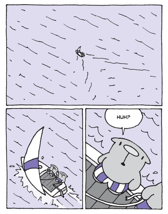 The Flying Beaver Brothers (Book 4) Birds vs Bunnies