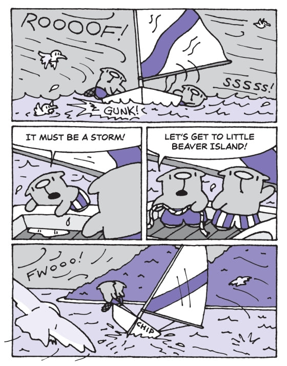 The Flying Beaver Brothers (Book 4) Birds vs Bunnies