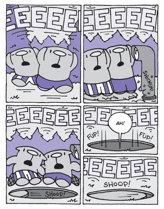 The Flying Beaver Brothers (Book 4) Birds vs Bunnies