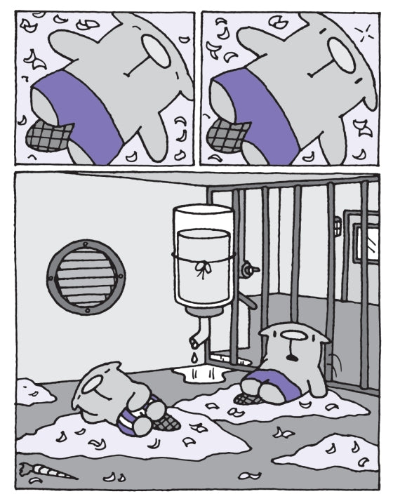 The Flying Beaver Brothers (Book 4) Birds vs Bunnies