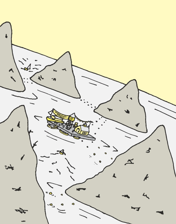 The Flying Beaver Brothers (Book 6) and the Crazy Critter Race