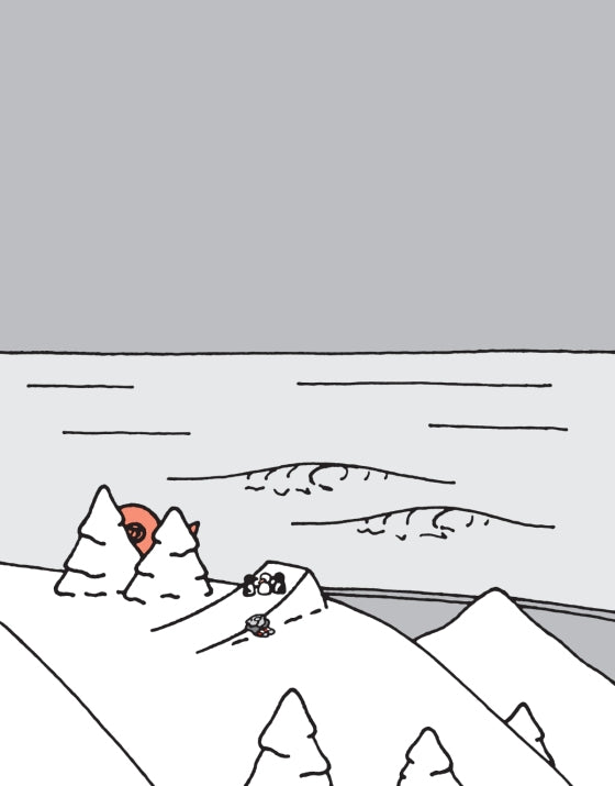 The Flying Beaver Brothers (Book 5) and the Hot Air Baboons