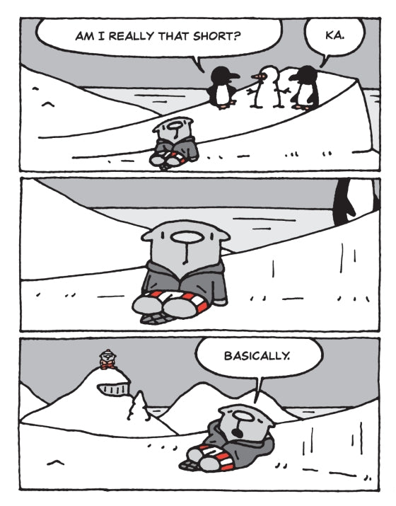 The Flying Beaver Brothers (Book 5) and the Hot Air Baboons