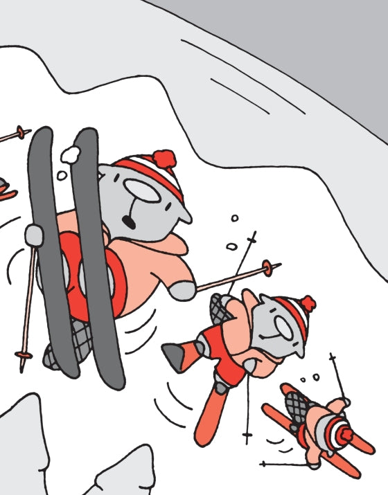 The Flying Beaver Brothers (Book 5) and the Hot Air Baboons