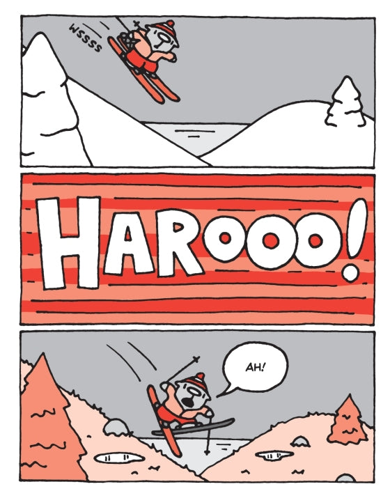 The Flying Beaver Brothers (Book 5) and the Hot Air Baboons