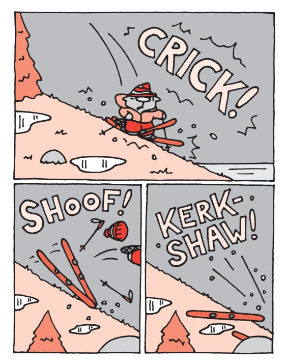 The Flying Beaver Brothers (Book 5) and the Hot Air Baboons