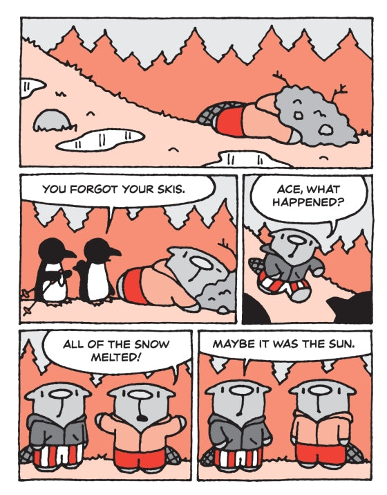 The Flying Beaver Brothers (Book 5) and the Hot Air Baboons