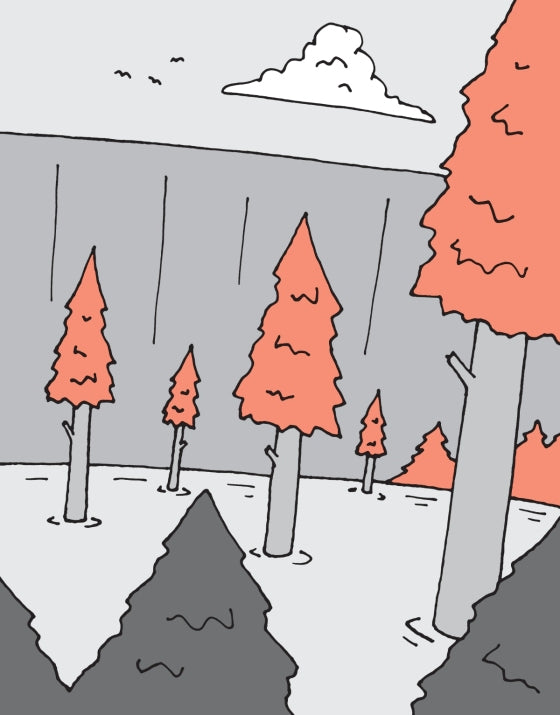 The Flying Beaver Brothers (Book 5) and the Hot Air Baboons