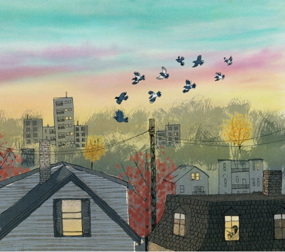 Windows (gently read)