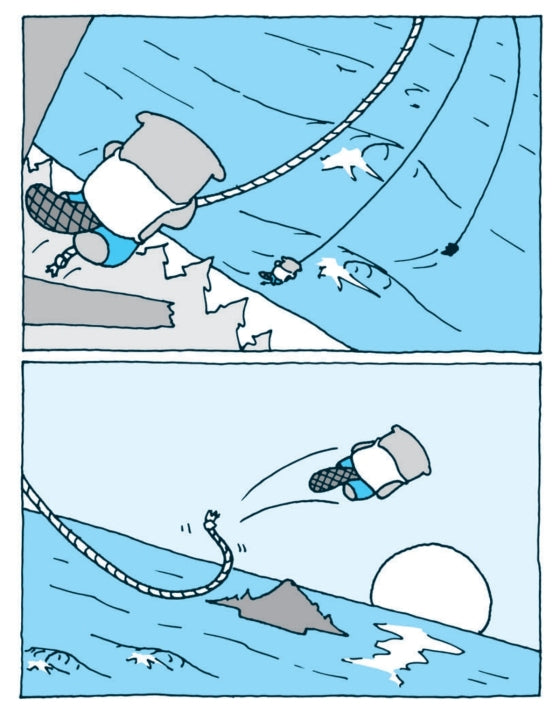 The Flying Beaver Brothers and the Evil Penguin Plan (Book 1)