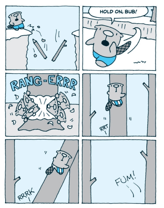 The Flying Beaver Brothers and the Evil Penguin Plan (Book 1)