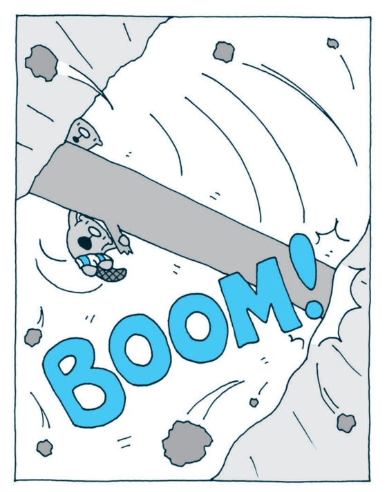 The Flying Beaver Brothers and the Evil Penguin Plan (Book 1)