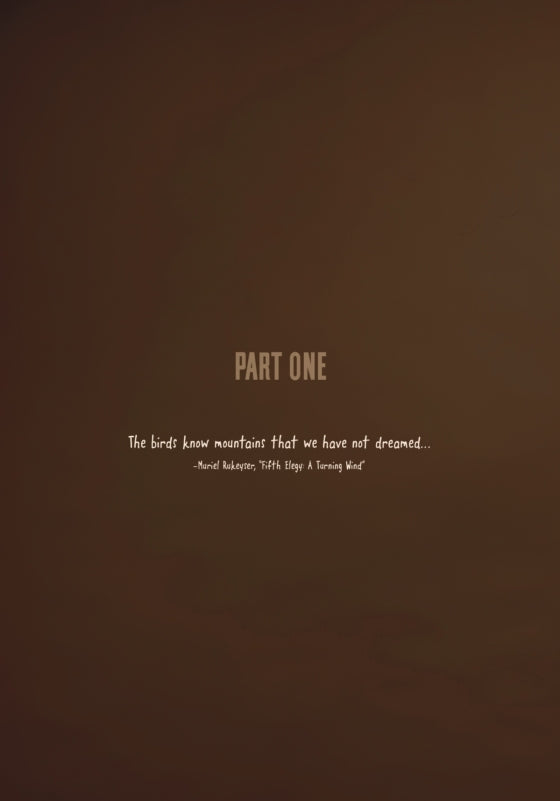 White Bird: A Wonder Story (graphic novel)