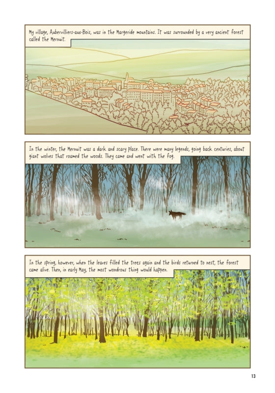 White Bird: A Wonder Story (graphic novel)