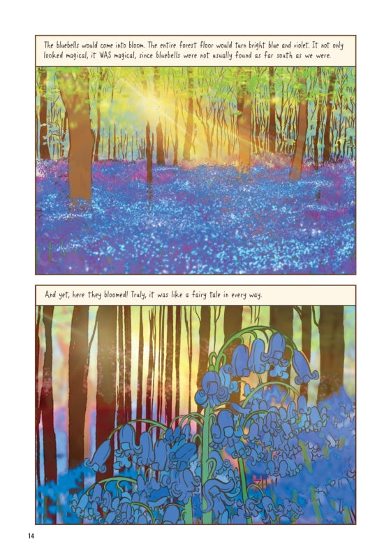 White Bird: A Wonder Story (graphic novel)