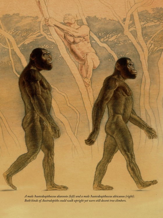 How to Build a Human