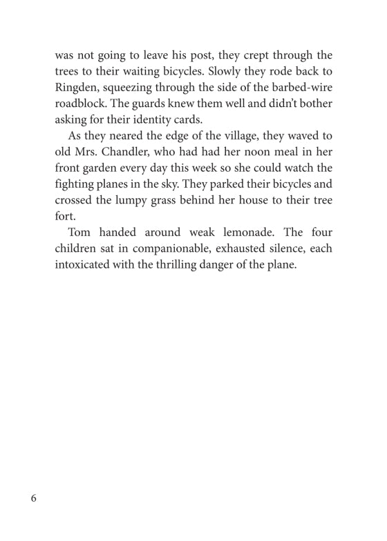 The Sky is Falling (Book I in Guests of War Trilogy)