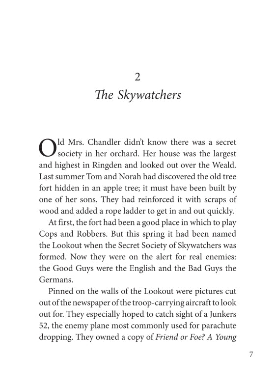 The Sky is Falling (Book I in Guests of War Trilogy)