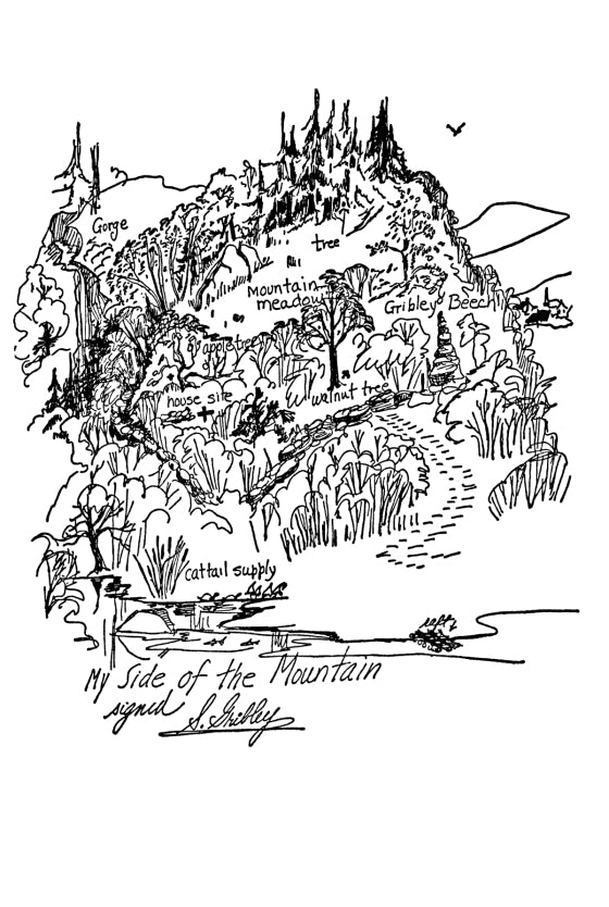 My Side of the Mountain Trilogy