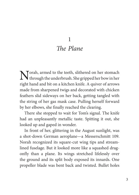 The Sky is Falling (Book I in Guests of War Trilogy)