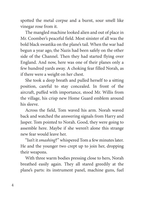 The Sky is Falling (Book I in Guests of War Trilogy)