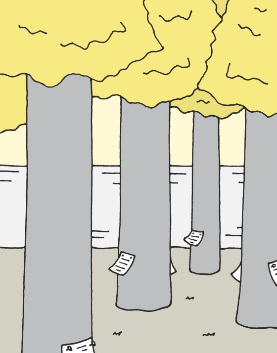 The Flying Beaver Brothers (Book 6) and the Crazy Critter Race