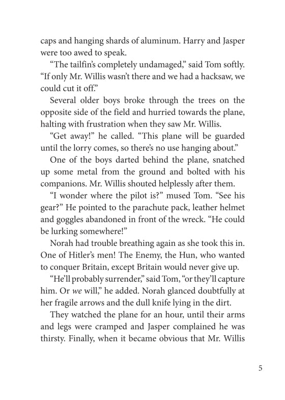 The Sky is Falling (Book I in Guests of War Trilogy)