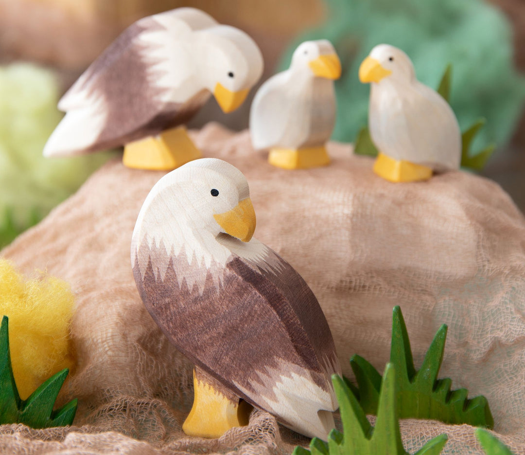 Ostheimer Bald Eagle, sitting