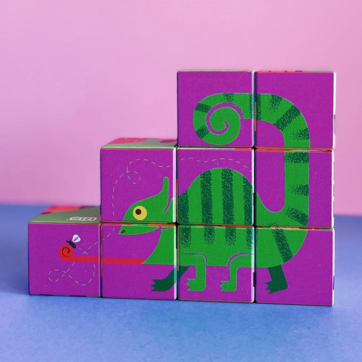 Bajo Zoo Cubes