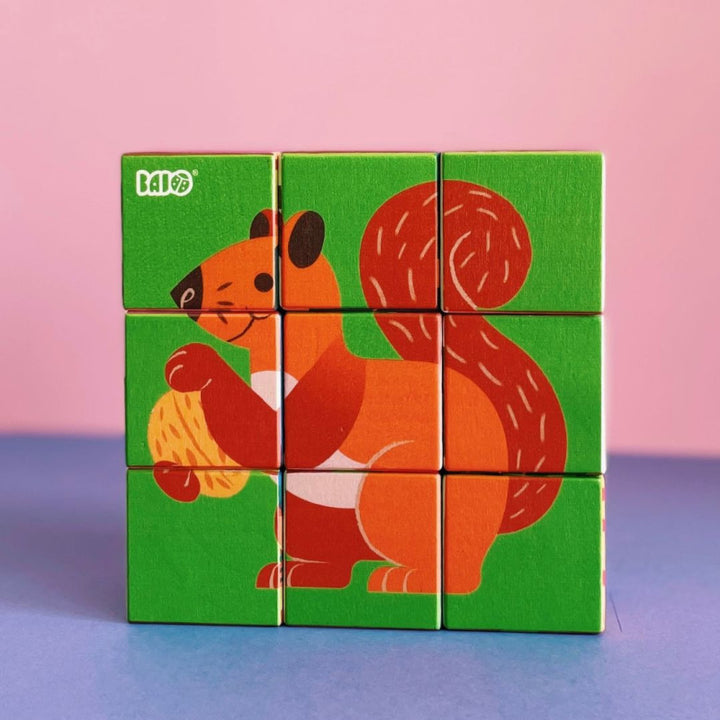 Bajo Zoo Cubes