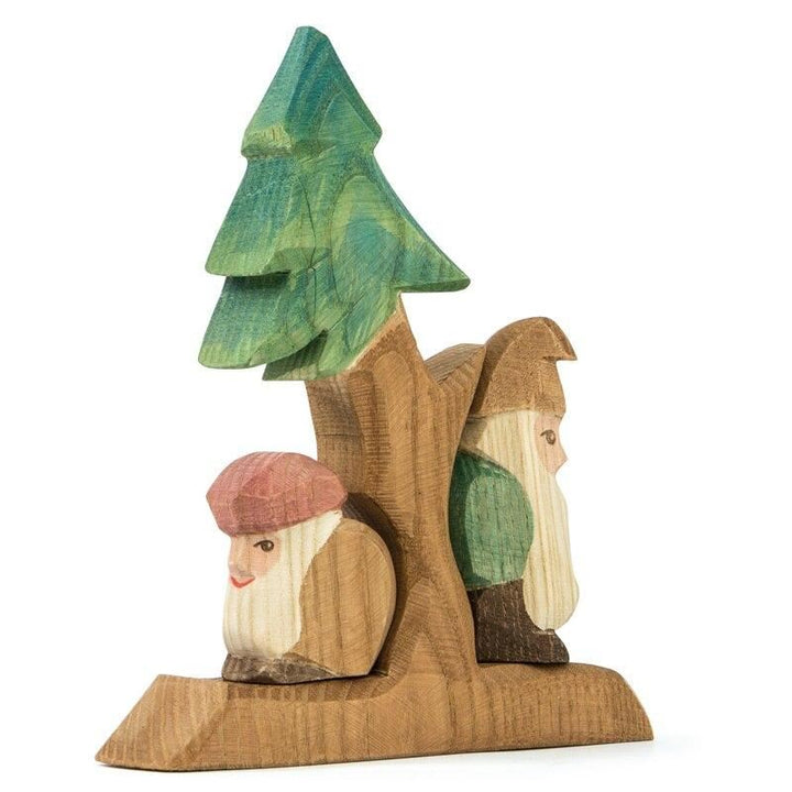 Ostheimer fir tree dwarf sitting