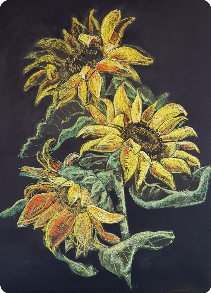 Sunflowers chalk drawing postcard