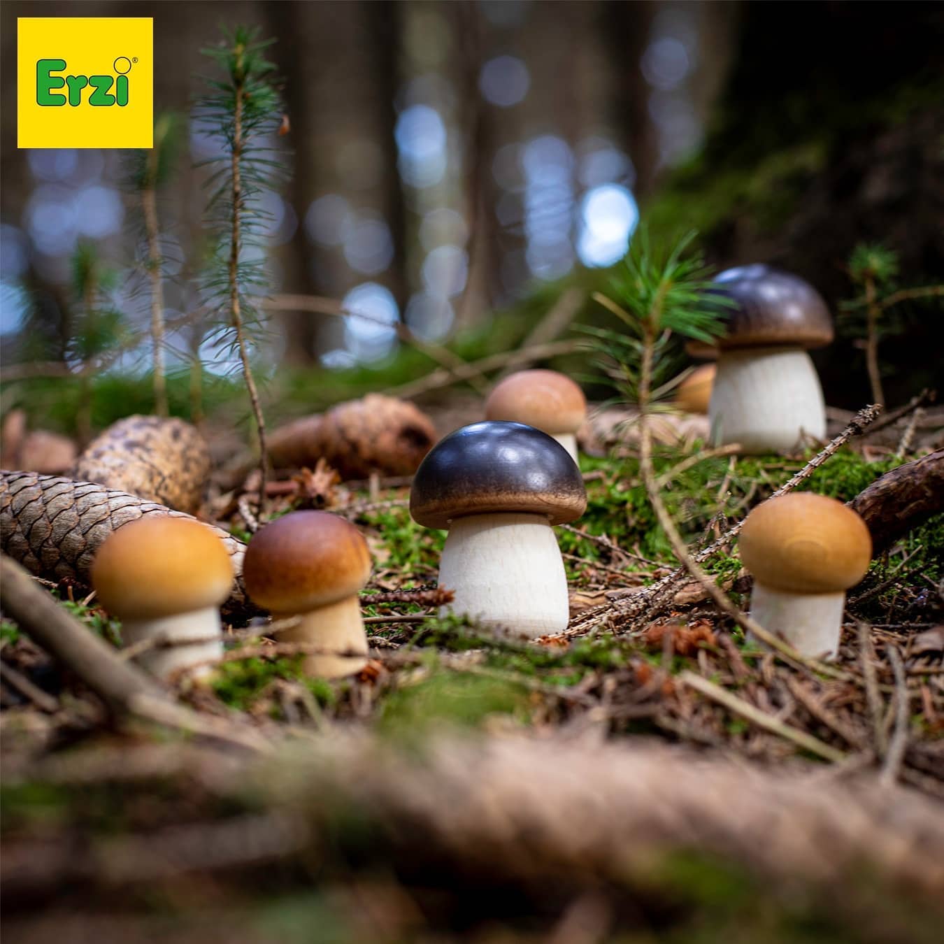 mushroom