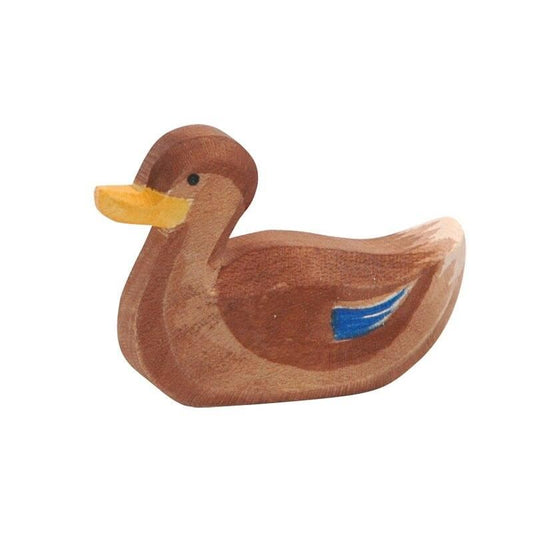Ostheimer swimming duck