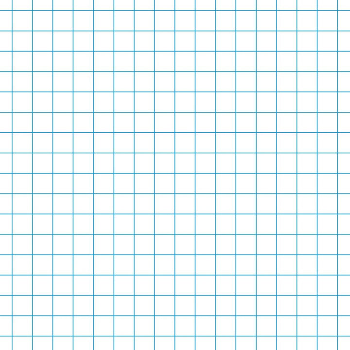 graph paper main lesson books